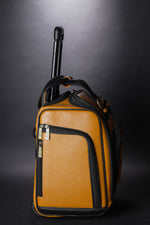 Genuine Leather Underseat Carry-On Rolling Travel Luggage Bags